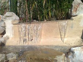 piscine et spa bio