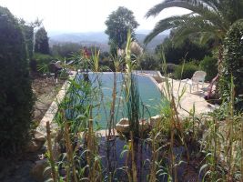 piscine et spa bio
