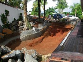 Lagunage
