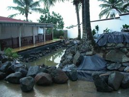 Lagunage