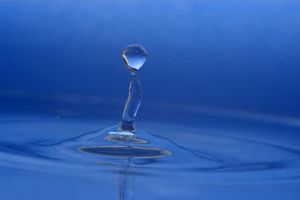 Biolagune : Eau Revitalisée